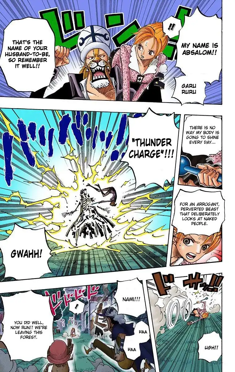 One Piece - Digital Colored Comics Chapter 453 8